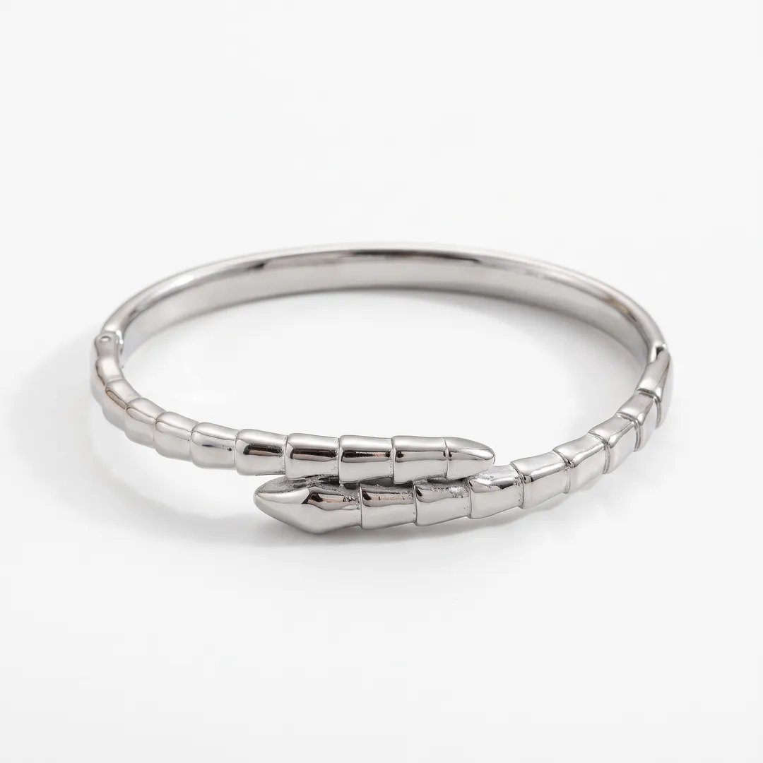 Brazalete rígido de acero, diseño serpiente de cascabel, Serpiente acero, foto 1