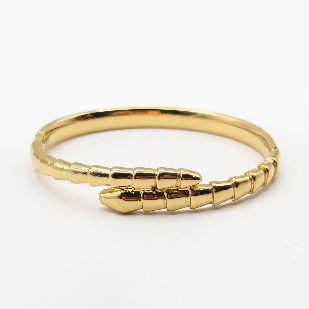 Brazalete rígido de acero, diseño serpiente de cascabel, Serpiente dorado, foto 1